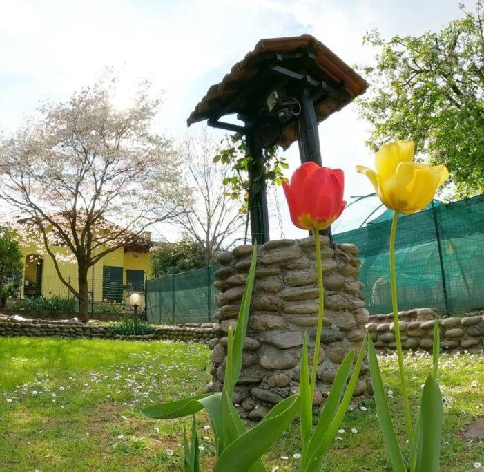 Villa Il Vecchio Kiwi - House With Private Garden Oleggio Castello Exterior foto